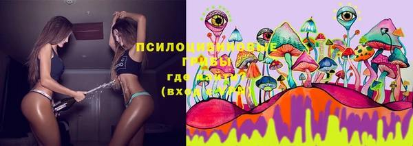 MDMA Premium VHQ Краснослободск
